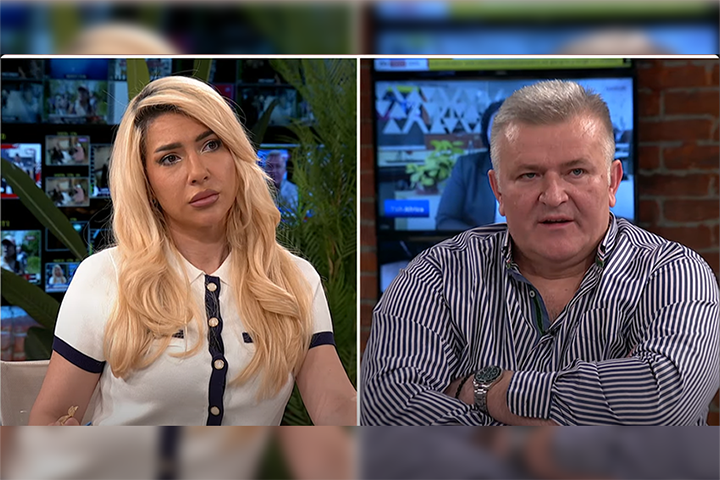 слика чланка