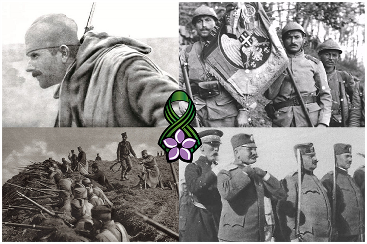 слика чланка