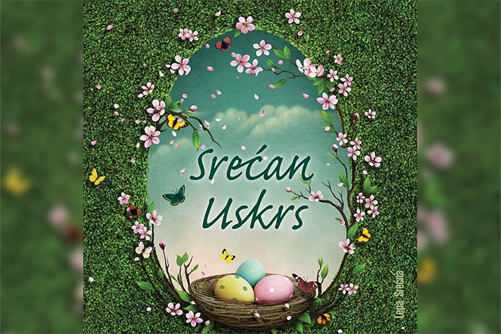 слика чланка